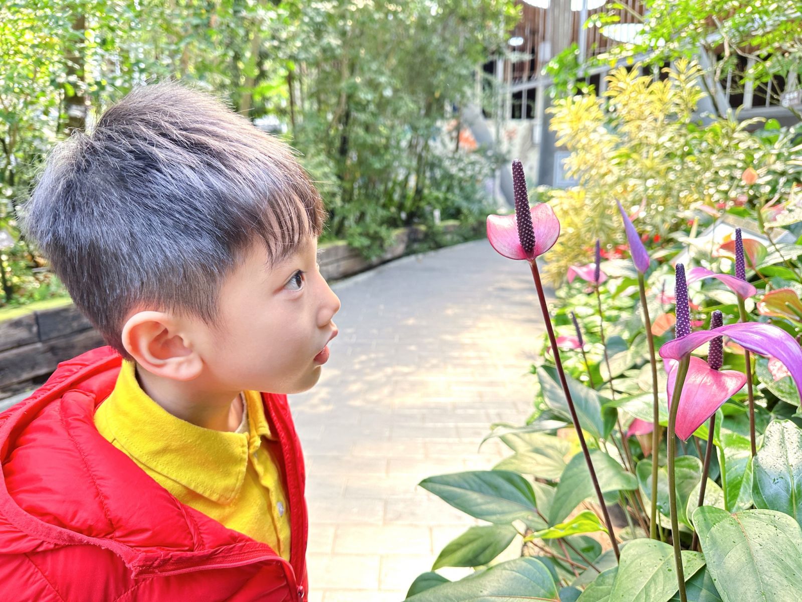 0331幼兒園_戶外3