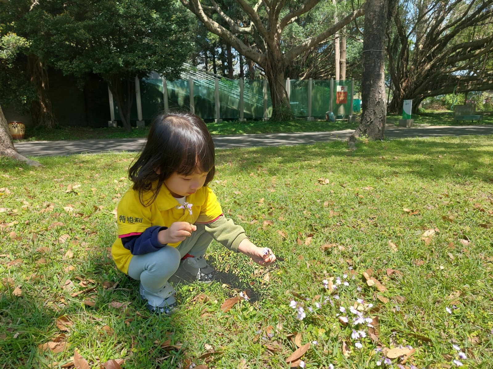 0331幼兒園_戶外5