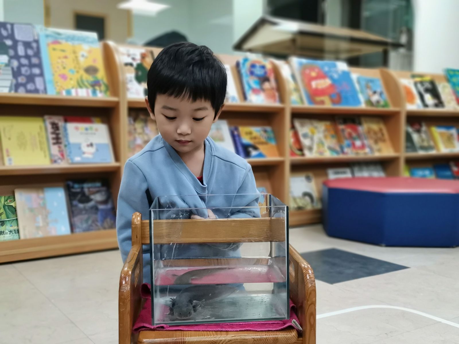 0331幼兒園_自然2