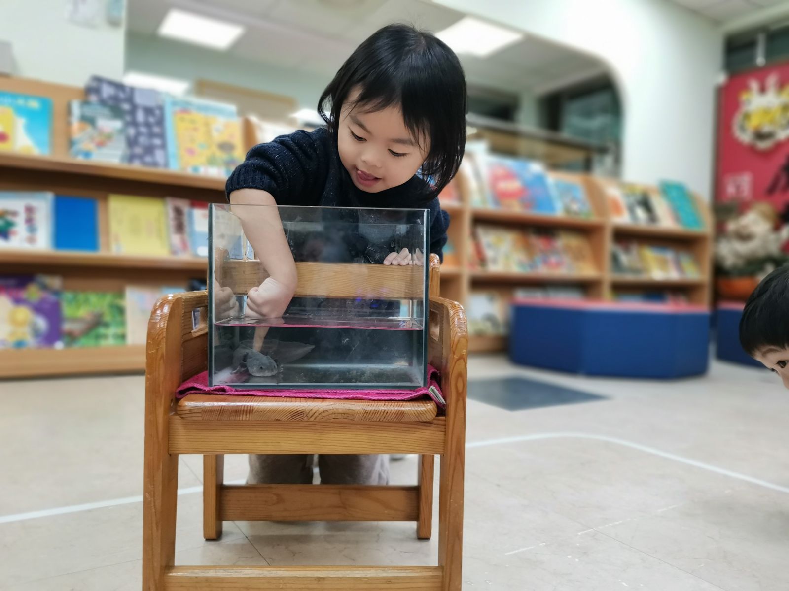0331幼兒園_自然1